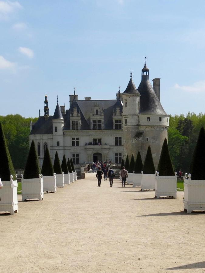 Les Coindries Villa Faye-la-Vineuse Exterior foto